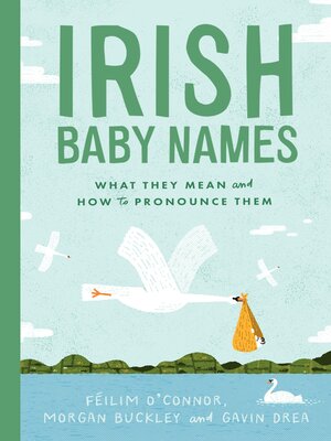 cover image of Irish Baby Names